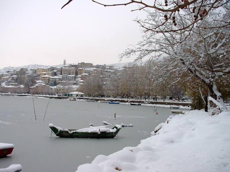 Villa Del Lago Boutique Hotel Kastoria Værelse billede